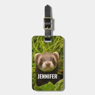 Étiquette À Bagage Ferret Brown dans l'herbe