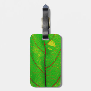 Étiquette À Bagage Feuille