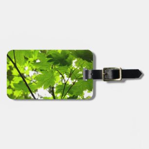 Étiquette À Bagage Feuilles d'érable avec Raindrops