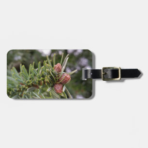 Étiquette À Bagage Fir buds