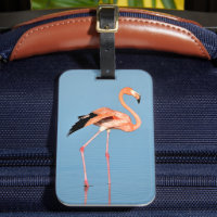 Flamant rose Lake Walk | Oiseaux