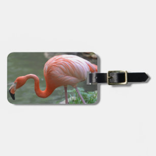 Étiquette À Bagage Flamant rose savoureux