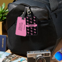 Flamants roses chauds