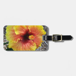 Étiquette À Bagage Fleur de ketmie d'Hawaï