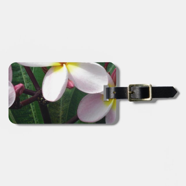 Étiquette À Bagage Fleurs de Plumeria hawaïenne (Devant horizontal)