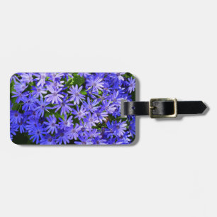 Étiquette À Bagage Fleurs de type Marguerite Bleue Photographie de la