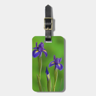 Étiquette À Bagage Fleurs d'iris