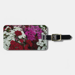 Étiquette À Bagage Floral Dianthus blanc, rose et rouge