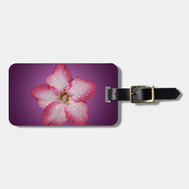 Étiquette À Bagage Flore rose Adenium Violet rayé (Devant horizontal)