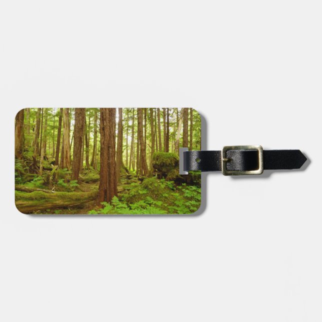 Étiquette À Bagage Forêt pluviale tempérée de l'Alaska (Devant horizontal)