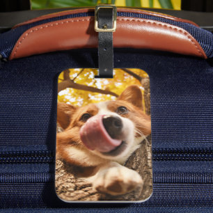 Étiquette À Bagage Funny Pet Photo personnalisée