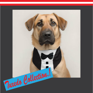 Étiquette À Bagage Funny Tuxedo 🎩 Cravate noire Formel