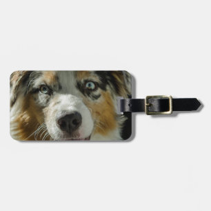 Étiquette À Bagage Garçon de joker