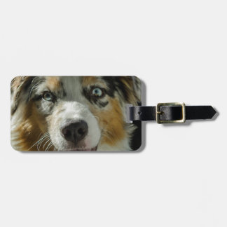 Étiquette À Bagage Garçon de joker