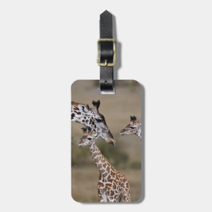 Étiquette À Bagage Girafe maasaï (Giraffe Tippelskirchi)