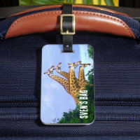 Giraffe africaine 4 têtes