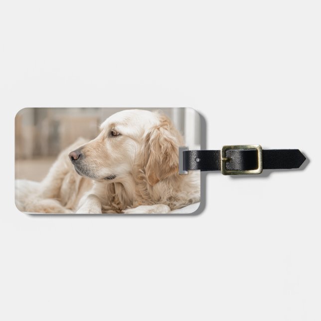 Étiquette À Bagage Golden Retriever (Devant horizontal)