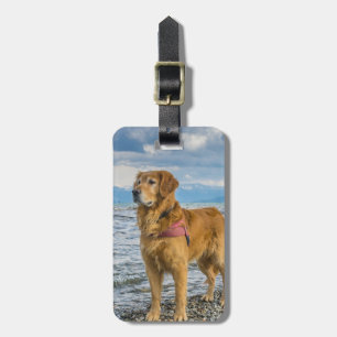 Étiquette À Bagage Golden Retriever Insérer votre propre étiquette de