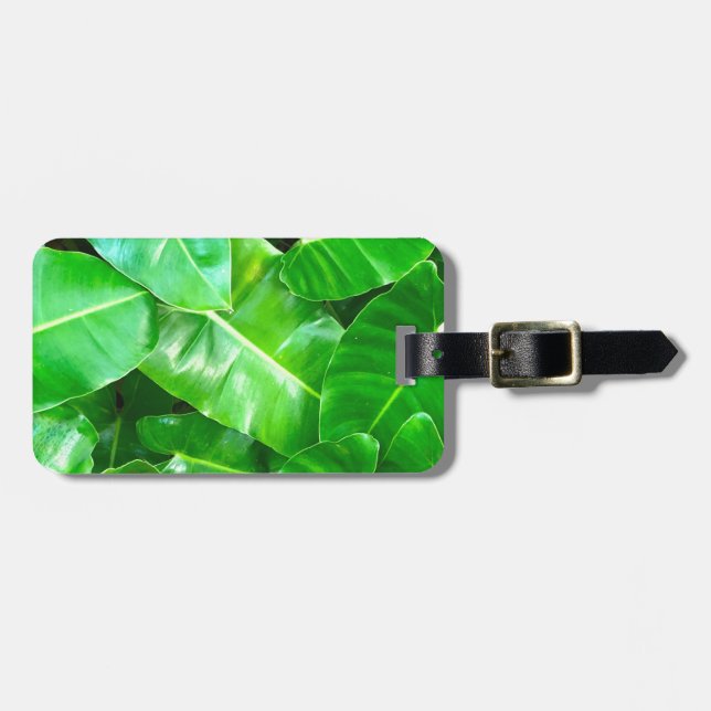 Étiquette À Bagage Green feuille Palm Leaf feuillage tropical jungle (Devant horizontal)