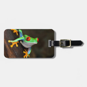 Étiquette À Bagage Grenouille verte