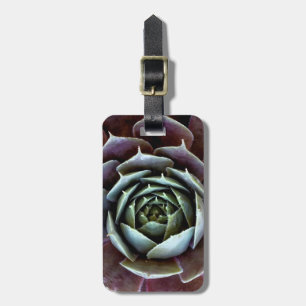 Étiquette À Bagage Gros plan sur une succulente violette