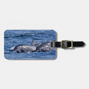 Étiquette À Bagage Groupe de dauphins de goulot - Oman