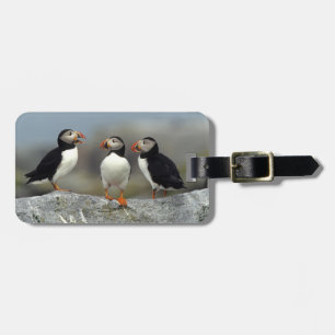 Étiquette À Bagage Groupe Macareux Atlantique
