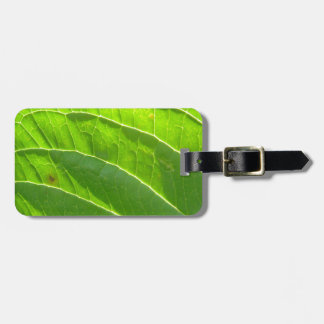 Étiquette À Bagage Grünes Blatt, hübsche Blattrippen
