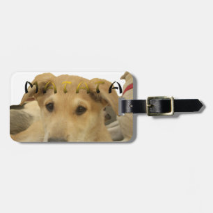 Étiquette À Bagage "Hakuna Matata Pup" - Insouciant Amour des chiots