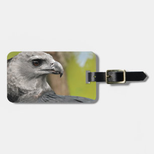 Étiquette À Bagage Harpy Eagle 1.JPG