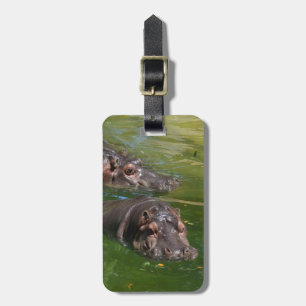 Étiquette À Bagage Hippopotames Nageant Dans Un Étang,