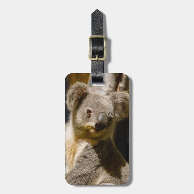 Étiquette À Bagage Homme Koala Personnaliser (Devant Vertical)