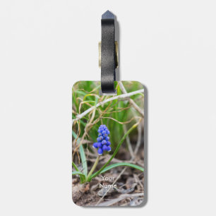 Étiquette À Bagage Hyacinthe du raisin solitaire