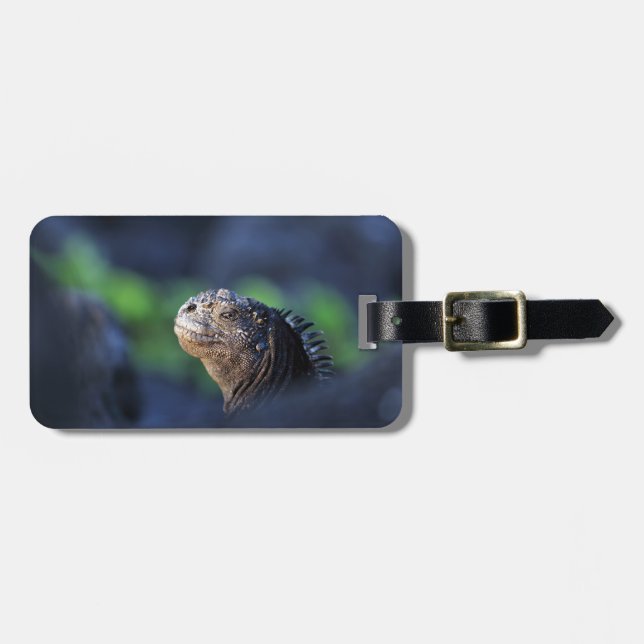 Étiquette À Bagage Îles de la mer de Galapagos (Devant horizontal)