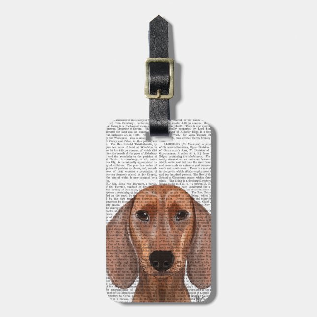 Étiquette À Bagage Illustration Dachshund Plain (Devant Vertical)