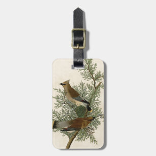 Étiquette À Bagage Impression d'oiseau de John James Audubon Jaseur b