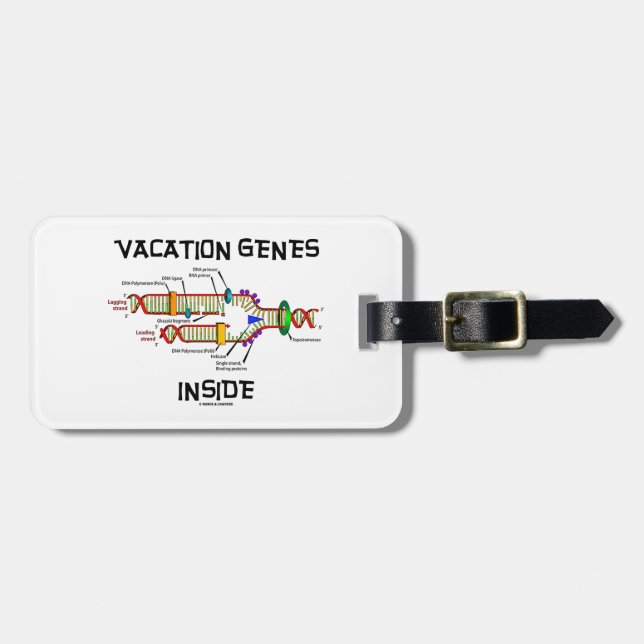 Étiquette À Bagage Intérieur de gènes de vacances (reproduction (Devant horizontal)