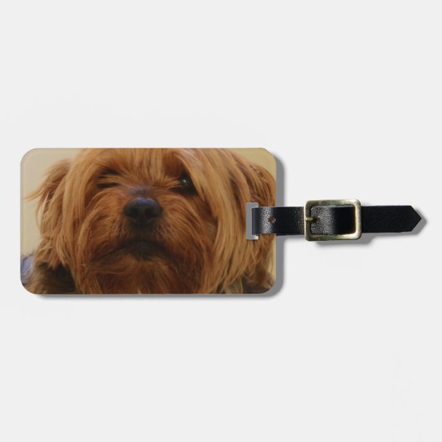 Étiquette À Bagage Jake le Yorkie Terrier (Devant horizontal)