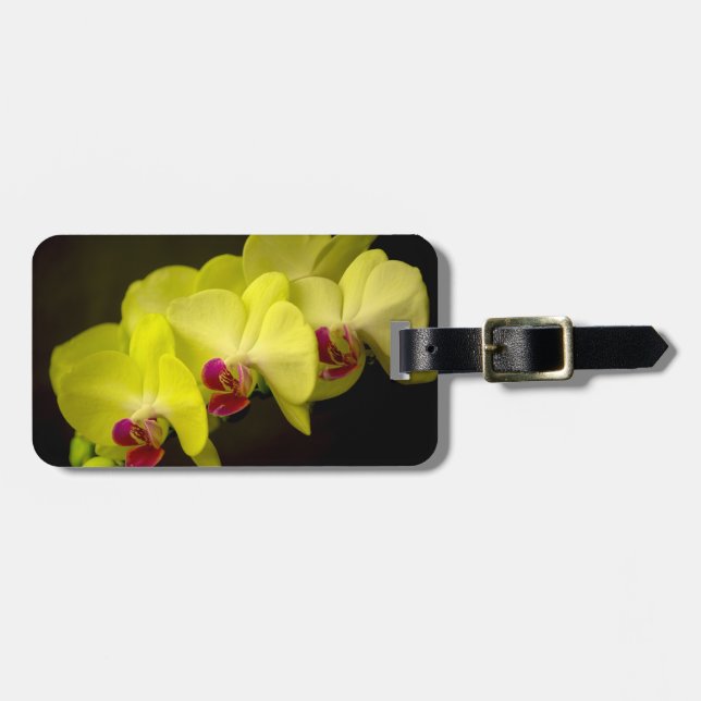 Étiquette À Bagage Jaune orchidée - étiquette de bagage (Devant horizontal)
