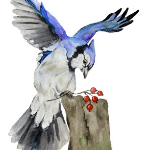 Étiquette À Bagage Jay bleu d'oiseau de la forêt