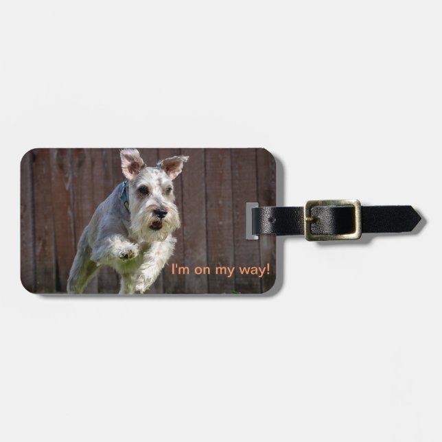 Étiquette À Bagage Je suis sur mon chemin ! - Schnauzer miniature (Devant horizontal)