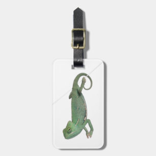 Étiquette À Bagage Jeune caméléon voilé, calyptratus de Chamaeleo