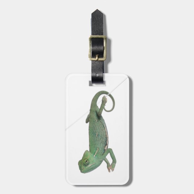 Étiquette À Bagage Jeune caméléon voilé, calyptratus de Chamaeleo (Devant Vertical)