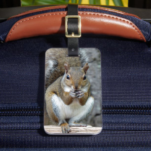 Étiquette À Bagage Jouir d'une étiquette de bagage de traitement