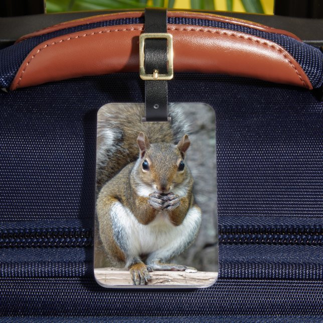 Étiquette À Bagage Jouir d'une étiquette de bagage de traitement (Insitu Rectoal 2)