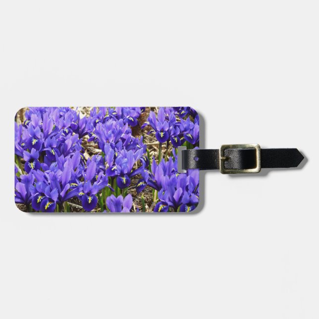 Étiquette À Bagage Katherine Hodgkin Irises Printemps Violet Floral (Devant horizontal)
