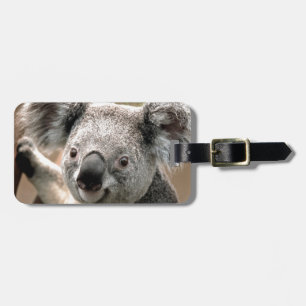 Étiquette À Bagage Koala