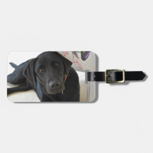 Étiquette À Bagage Labrador retriever noir personnalisable