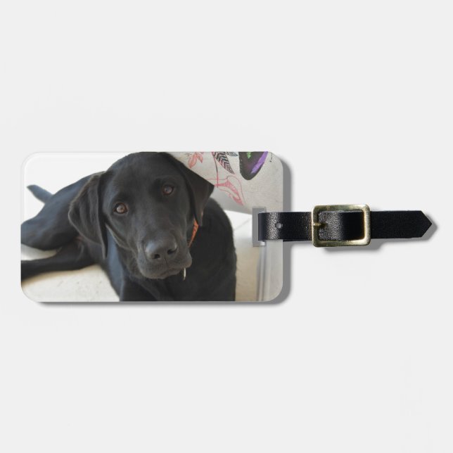 Étiquette À Bagage Labrador retriever noir personnalisable (Devant horizontal)