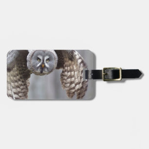 Étiquette À Bagage l'animal de vol de hibou fait varier le pas des